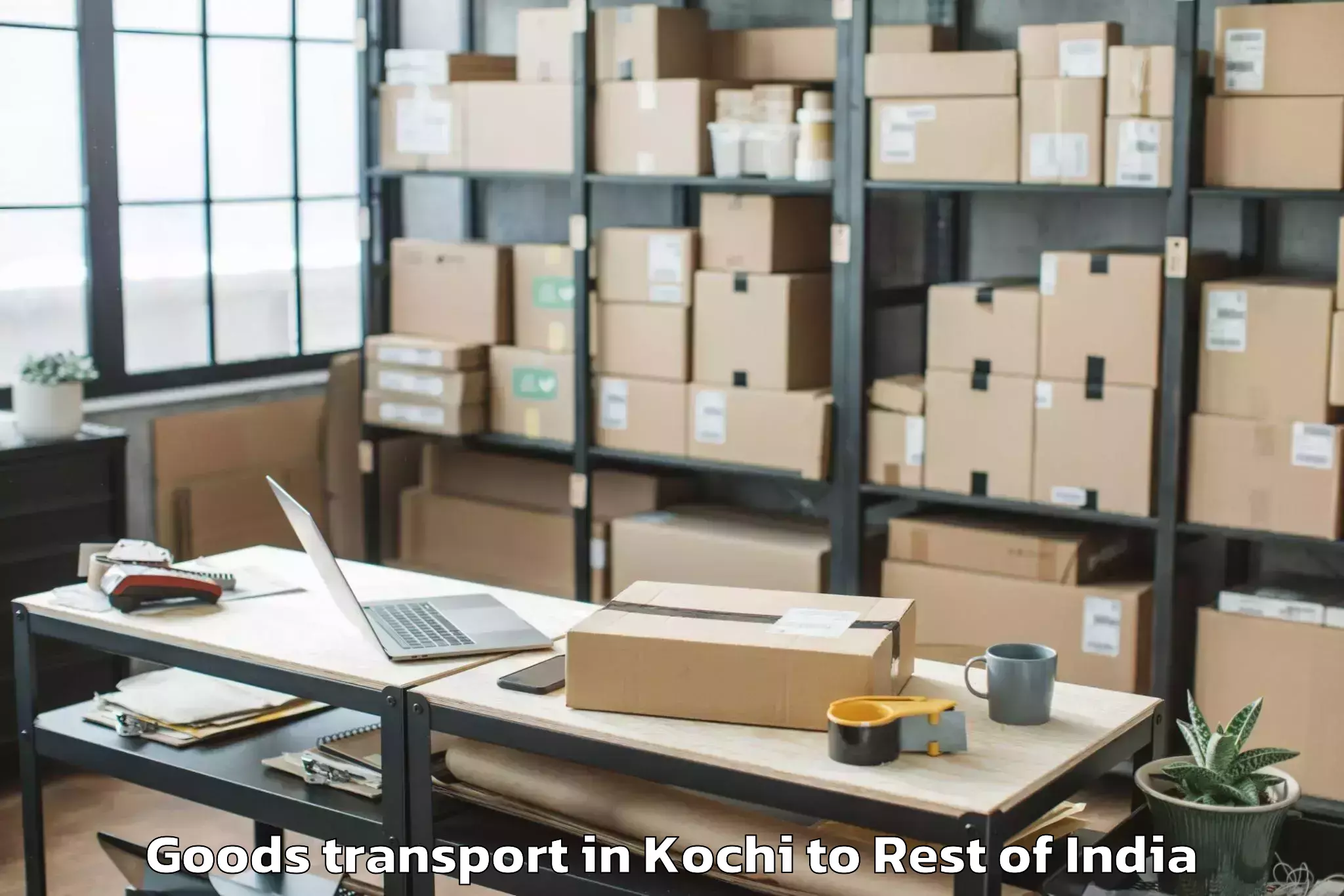 Top Kochi to Byrnihat Goods Transport Available